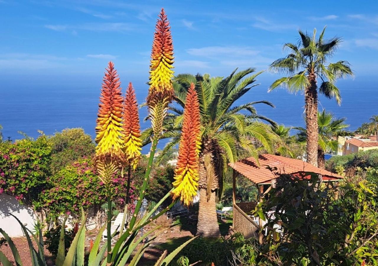 Villa Larnia De Tenerife 绍萨尔 外观 照片