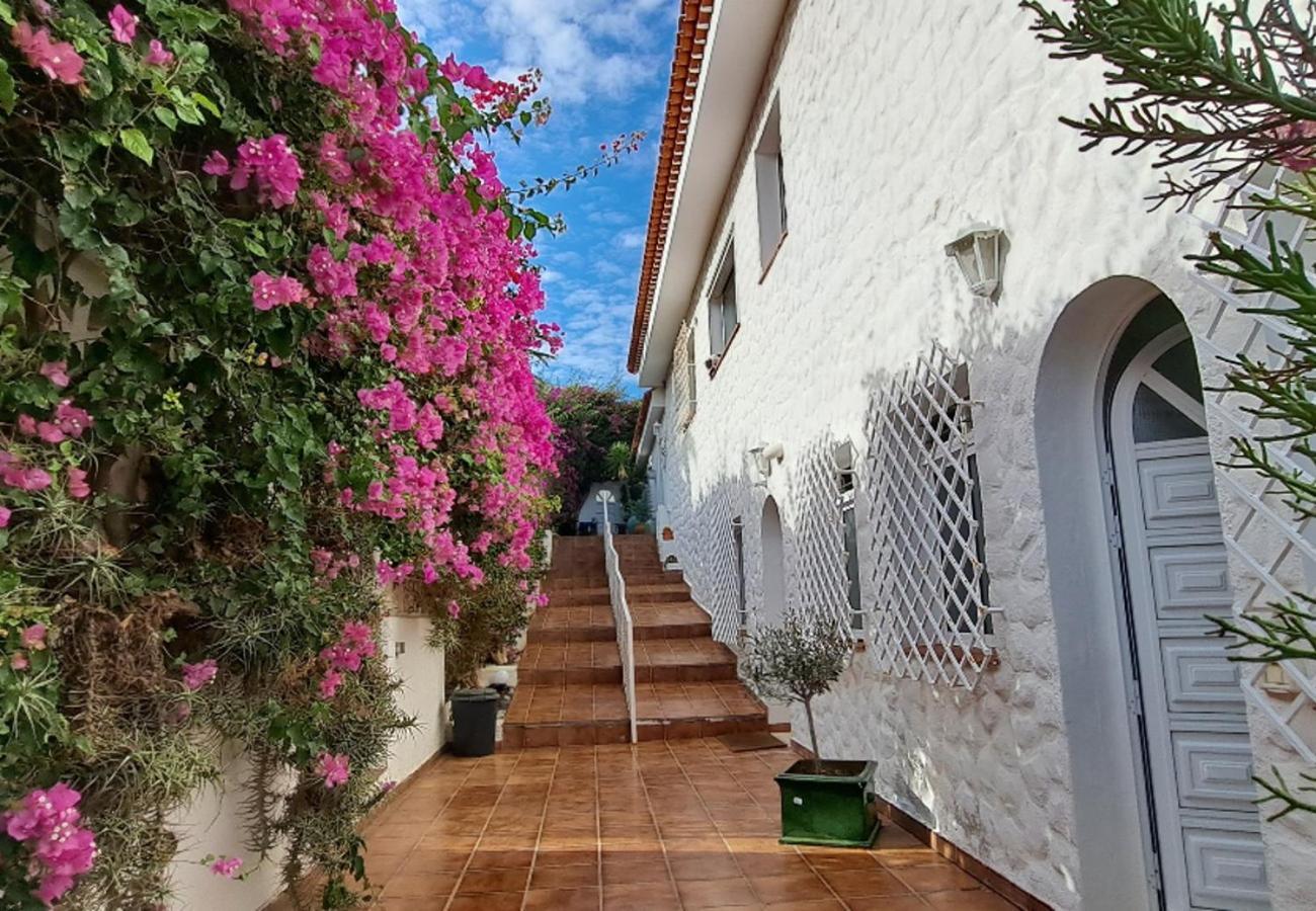 Villa Larnia De Tenerife 绍萨尔 外观 照片