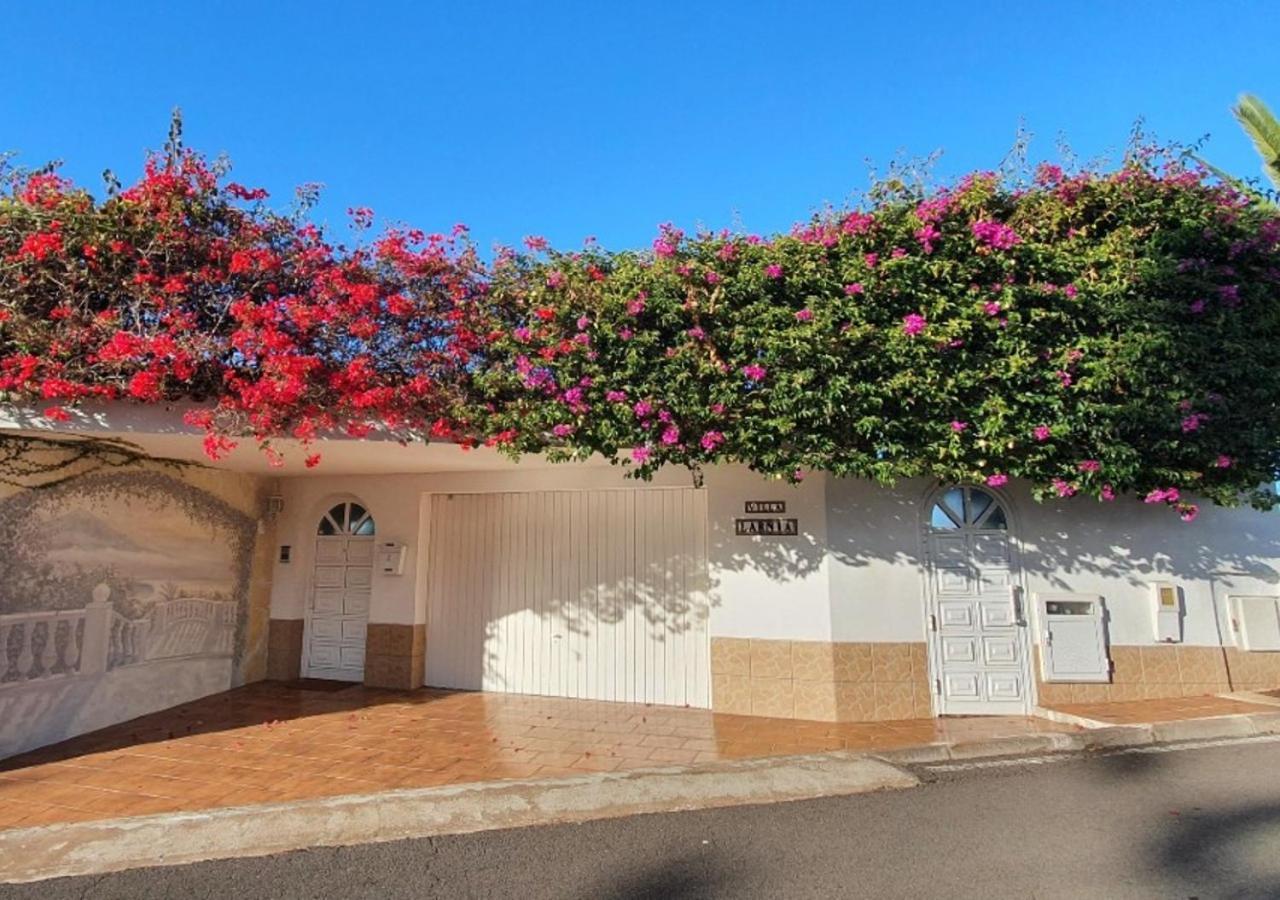 Villa Larnia De Tenerife 绍萨尔 外观 照片