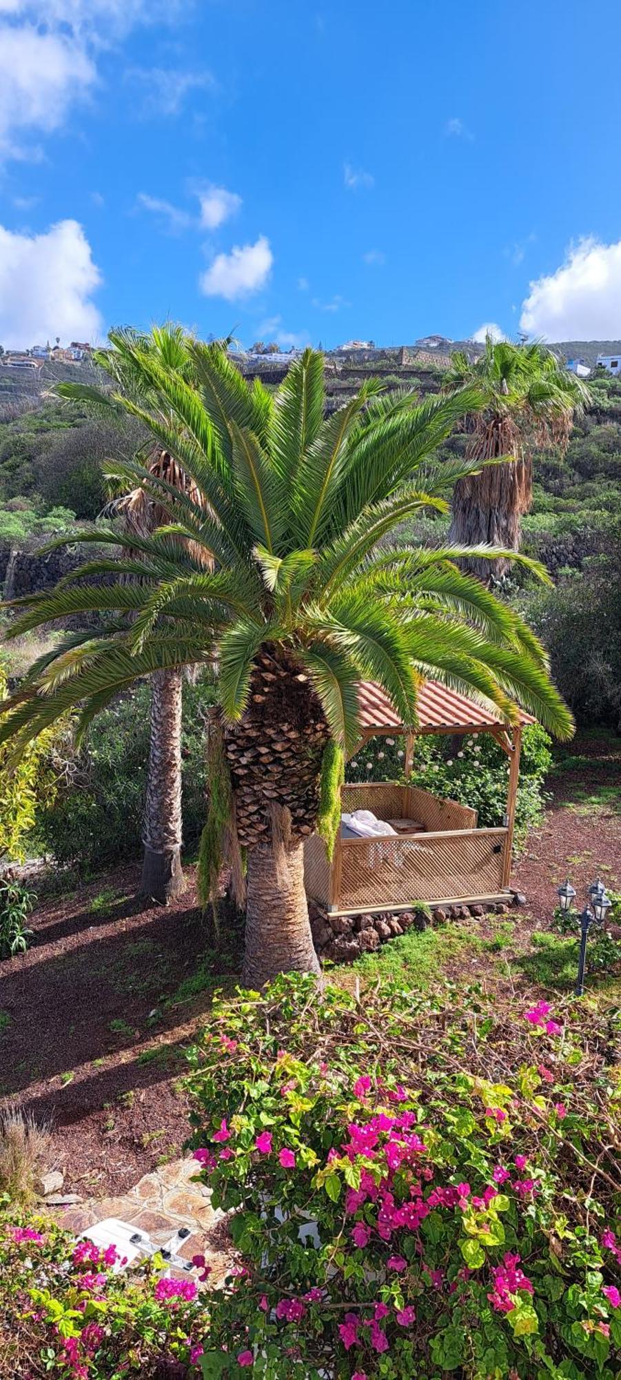 Villa Larnia De Tenerife 绍萨尔 外观 照片