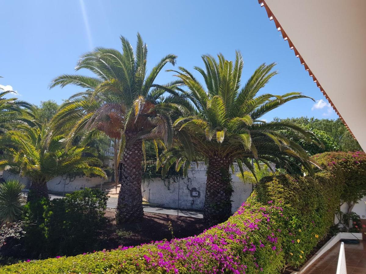 Villa Larnia De Tenerife 绍萨尔 外观 照片