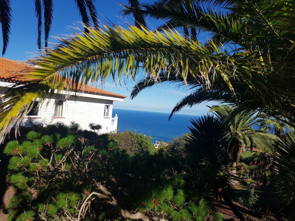 Villa Larnia De Tenerife 绍萨尔 外观 照片