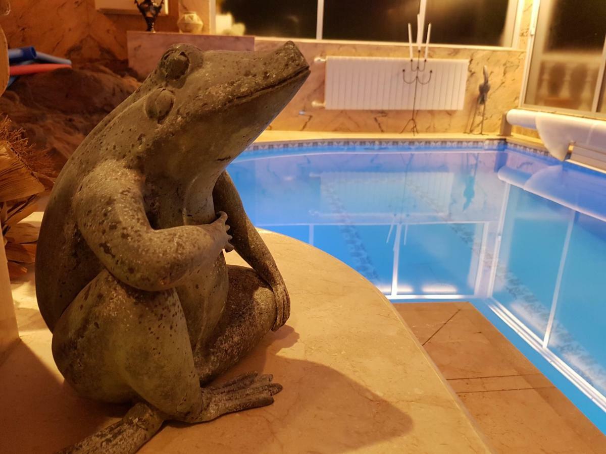 Villa Larnia De Tenerife 绍萨尔 外观 照片