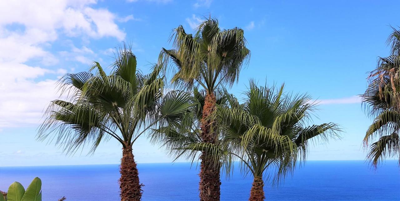 Villa Larnia De Tenerife 绍萨尔 外观 照片